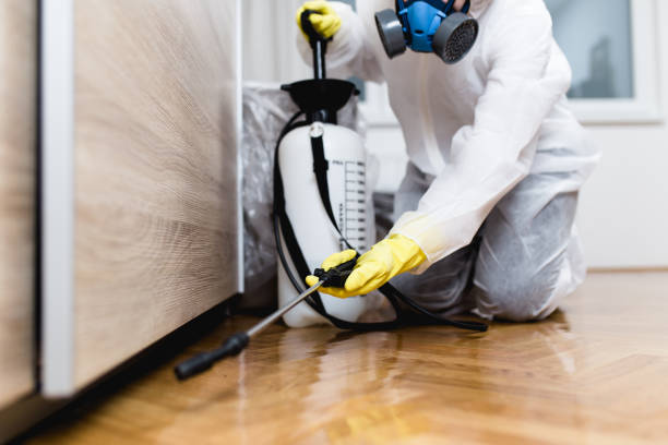 Best Best Pest Control Companies  in Presquille, LA