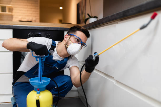 Best Emergency Pest Control  in Presquille, LA