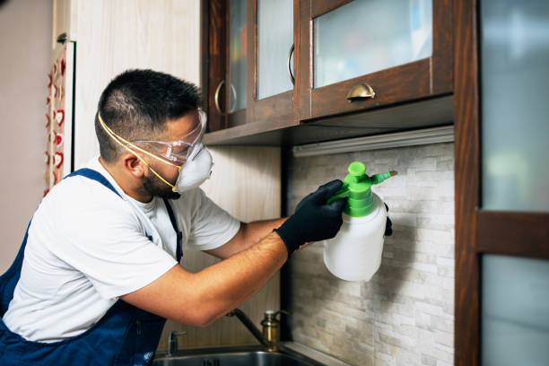 Trusted Presquille, LA Pest Control Experts