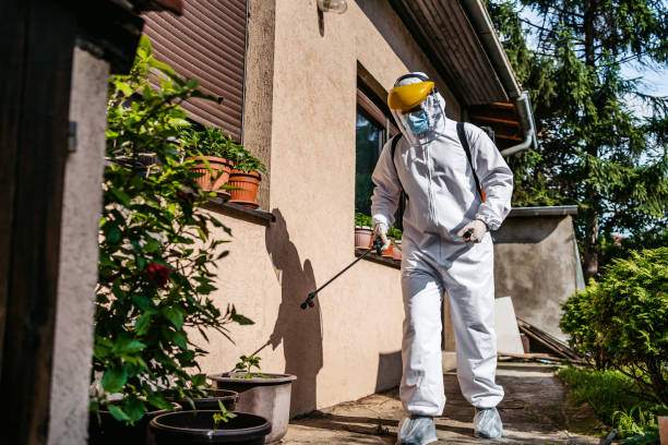 Best Cockroach Control Services  in Presquille, LA