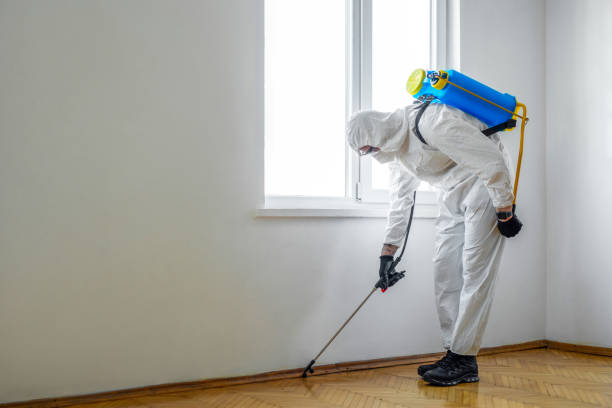 Best Wasp Removal Services  in Presquille, LA