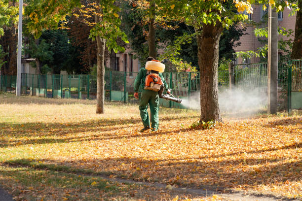 Best Mosquito Control Services  in Presquille, LA